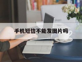 手机短信不能发图片吗