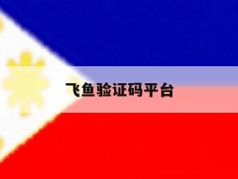 飞鱼验证码平台