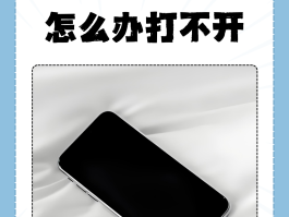 网络电话也打不进去怎么办呀苹果手机