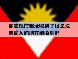 谷歌短信验证收到了但是没有输入的地方能收到吗的简单介绍