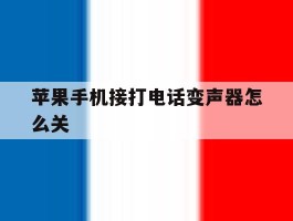 苹果手机接打电话变声器怎么关