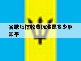 谷歌短信收费标准是多少啊知乎