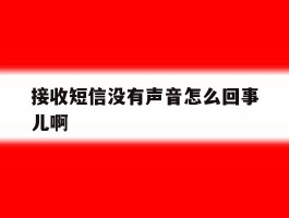 接收短信没有声音怎么回事儿啊