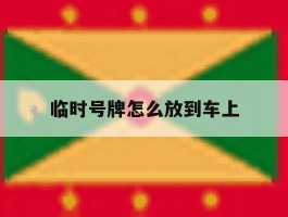 临时号牌怎么放到车上