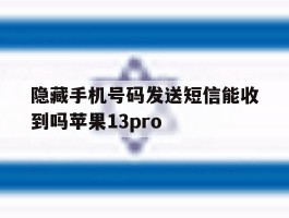 隐藏手机号码发送短信能收到吗苹果13pro的简单介绍