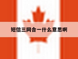 短信三网合一什么意思啊