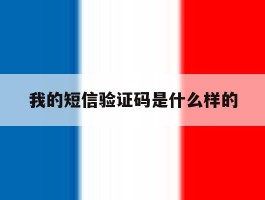 我的短信验证码是什么样的
