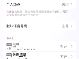 包含网络电话设置电话号码拨出是空号吗怎么回事儿的词条