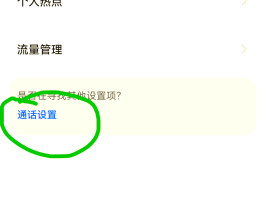 哪个网络电话可以设置去电号码显示