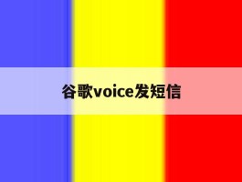 谷歌voice发短信