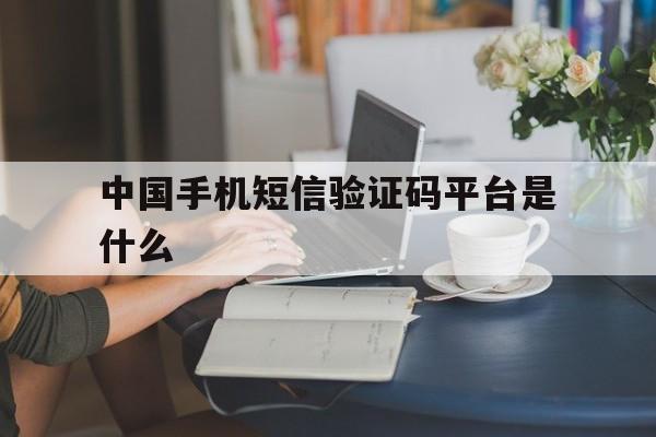 中国手机短信验证码平台是什么 中国手机短信验证码平台是什么
