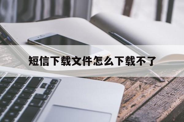 短信下载文件怎么下载不了 短信下载文件怎么下载不了