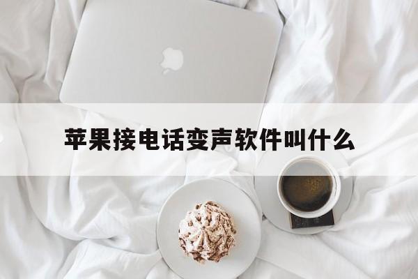 苹果接电话变声软件叫什么 苹果接电话变声软件叫什么