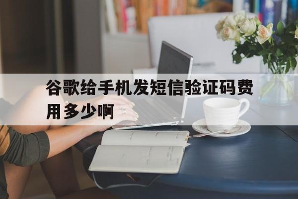 谷歌给手机发短信验证码费用多少啊 谷歌给手机发短信验证码费用多少啊