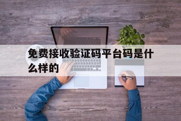 免费接收验证码平台码是什么样的 免费接收验证码平台码是什么样的