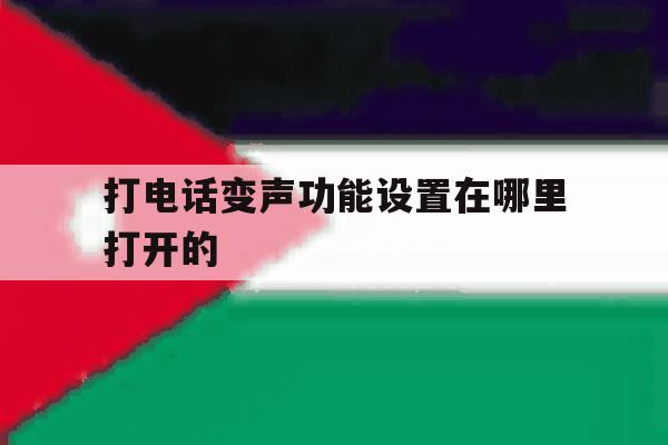 打电话变声功能设置在哪里打开的 打电话变声功能设置在哪里打开的