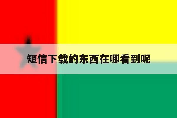 短信下载的东西在哪看到呢 短信下载的东西在哪看到呢