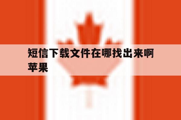 短信下载文件在哪找出来啊苹果 短信下载文件在哪找出来啊苹果