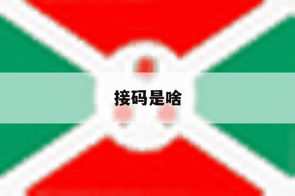 接码是啥 接码是啥