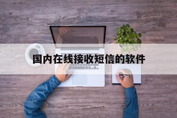 国内在线接收短信的软件 国内在线接收短信的软件