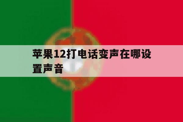 苹果12打电话变声在哪设置声音 苹果12打电话变声在哪设置声音
