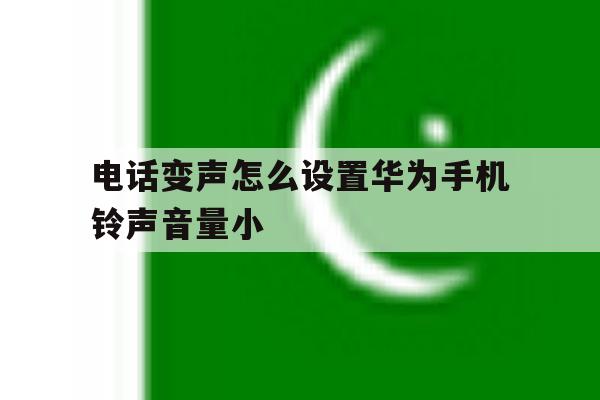 包含电话变声怎么设置华为手机铃声音量小的词条 包含电话变声怎么设置华为手机铃声音量小的词条
