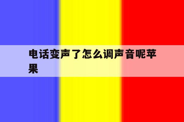 电话变声了怎么调声音呢苹果 电话变声了怎么调声音呢苹果