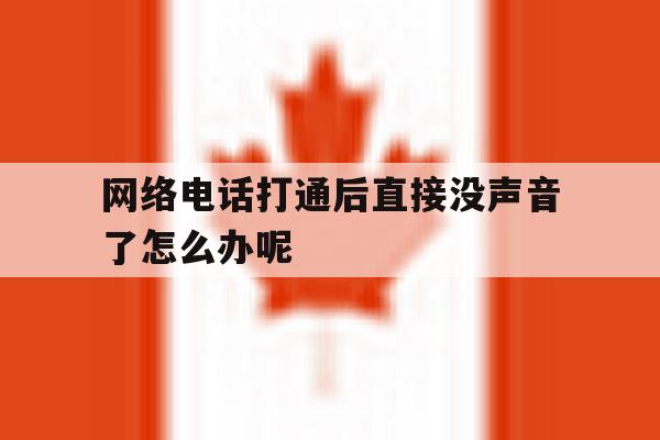 网络电话打通后直接没声音了怎么办呢 网络电话打通后直接没声音了怎么办呢