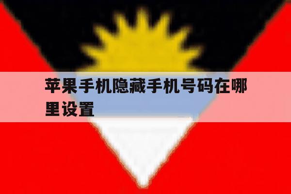 苹果手机隐藏手机号码在哪里设置 苹果手机隐藏手机号码在哪里设置