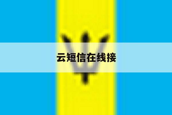 云短信在线接 云短信在线接