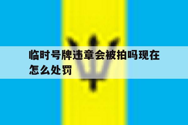 临时号牌违章会被拍吗现在怎么处罚 临时号牌违章会被拍吗现在怎么处罚