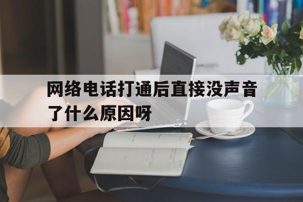 网络电话打通后直接没声音了什么原因呀的简单介绍 网络电话打通后直接没声音了什么原因呀的简单介绍