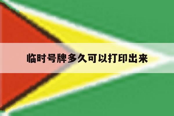 临时号牌多久可以打印出来 临时号牌多久可以打印出来