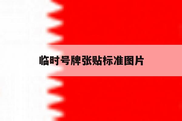 临时号牌张贴标准图片 临时号牌张贴标准图片